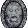 Seasonal Visions Haunted Frame Animated Light Up Decorations & Props