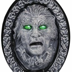 Seasonal Visions Haunted Frame Animated Light Up Decorations & Props