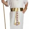 Forum Novelties Pharaoh Adult Xlg 1 Forum Novelties Pharaoh Adult Xlg