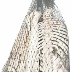 Sunstar Bag Of Mini Bones Decorations & Props