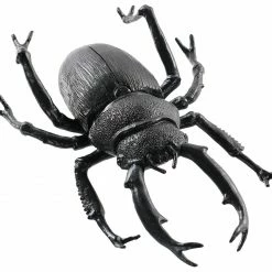 Seasons USA Black Beetle 8 Inches
