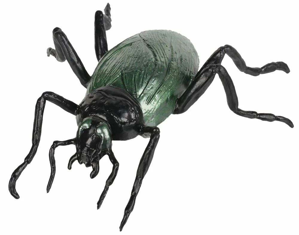 Seasons USA Cockroach 7 Inches 3 Seasons USA Cockroach 7 Inches