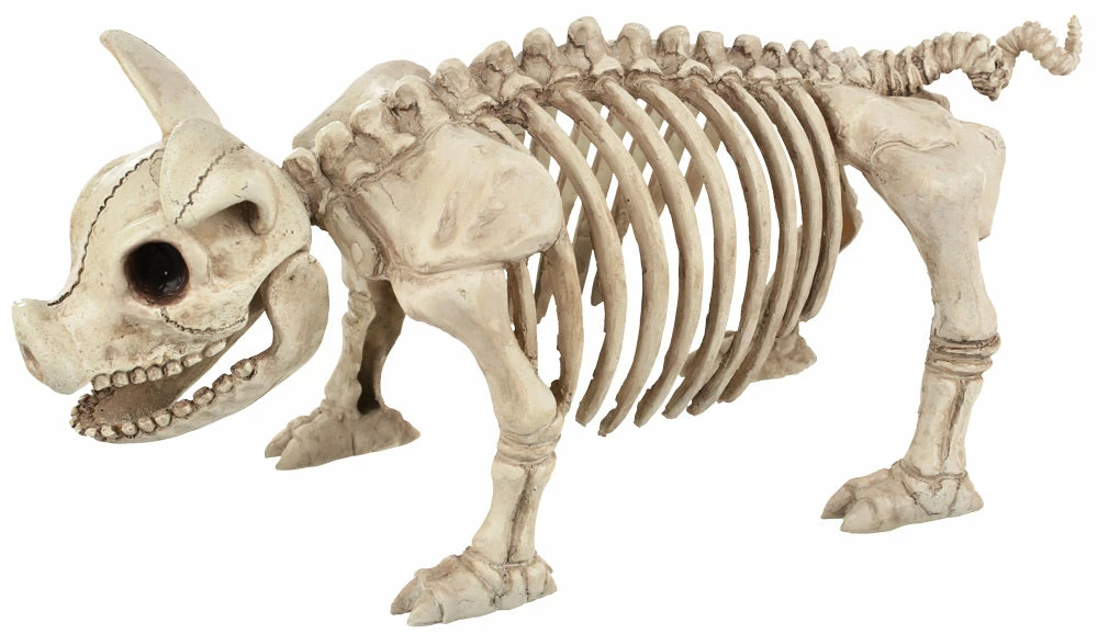 Seasons USA Pig Skeleton Decorations & Props 3 Seasons USA Pig Skeleton Decorations & Props