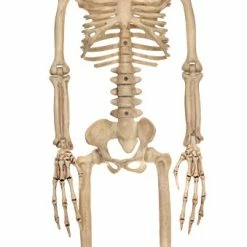 Seasons USA Decorations & Props Alien Skeleton Bone Color 37in