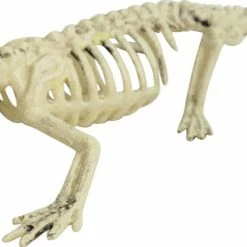 Sunstar Alligator 6.3 In