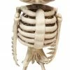 Seasons USA Decorations & Props Owl Skeleton Animated
