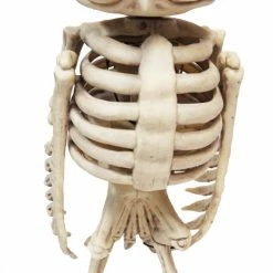 Seasons USA Decorations & Props Owl Skeleton Animated