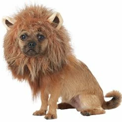 California Costumes King Of Jungle Dog Costume Accessories