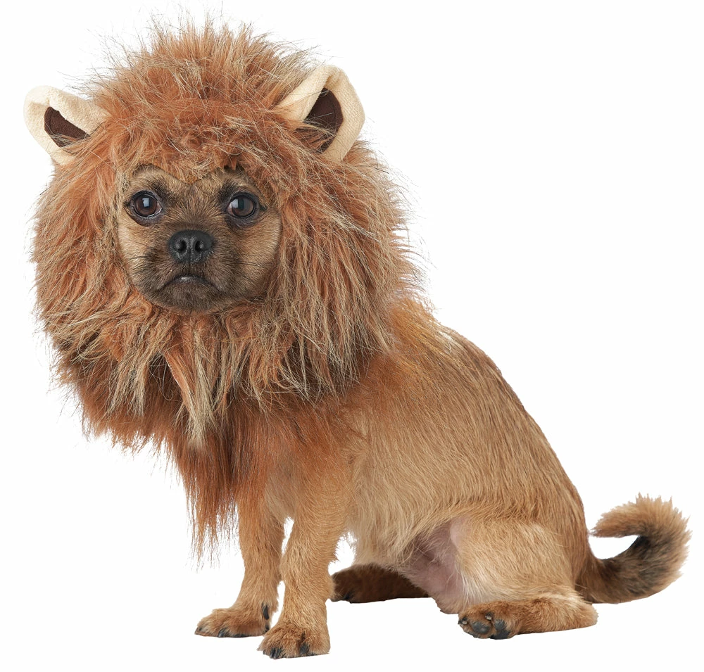 California Costumes King Of Jungle Dog Costume Accessories 3 California Costumes King Of Jungle Dog Costume Accessories