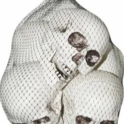 Sunstar Decorations & Props Skull Plastic 6 Pcs