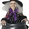 Sunstar Bouncing Witch In Cauldron Prop