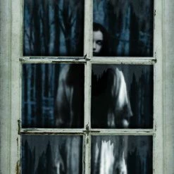 Sunstar Window Woman Fake Decorations & Props