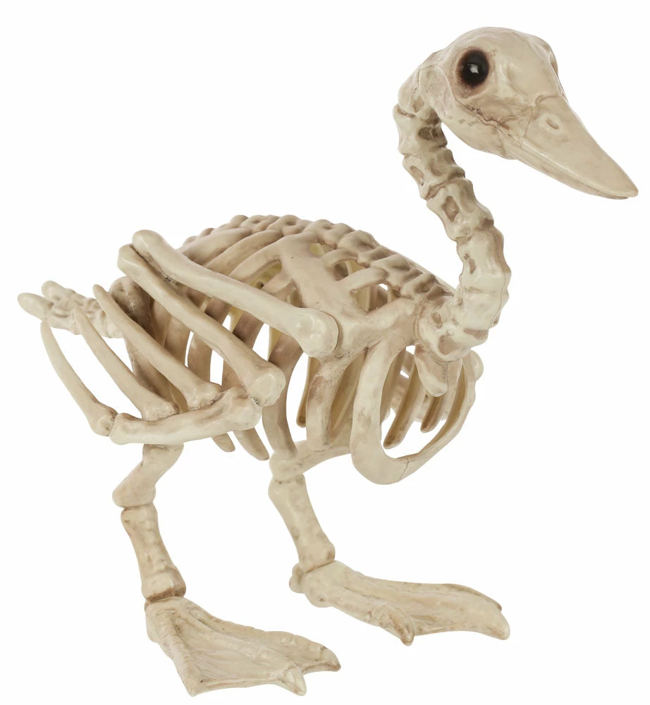 Seasons USA Skeleton Duck Bonez Prop Decorations & Props 3 Seasons USA Skeleton Duck Bonez Prop Decorations & Props