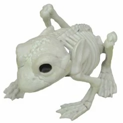 Seasons USA Frog Skeleton Prop