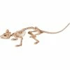 Seasons USA Decorations & Props Mini Skeleton Rat Prop