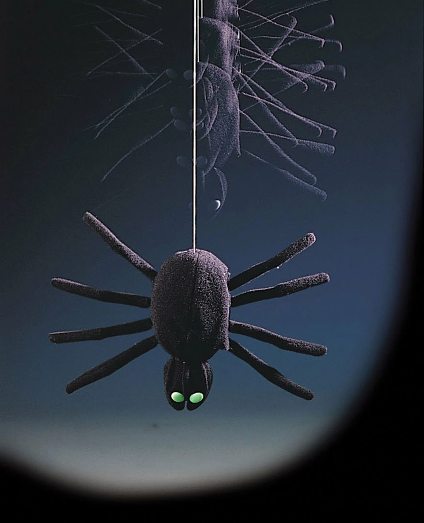 Sunstar Dropping Spider 10 Inch Sound Activated 3 Sunstar Dropping Spider 10 Inch Sound Activated