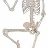 Fun World Decorations & Props Skeleton Titan 7 FT