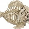 Sunstar Fish Bone Skeleton Prop Decorations & Props