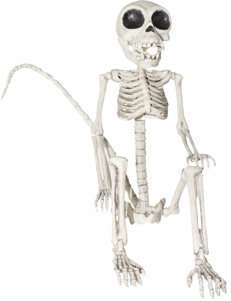 Sunstar Decorations & Props Monkey Skeleton 3 Sunstar Decorations & Props Monkey Skeleton