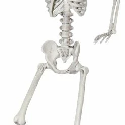 Sunstar Decorations & Props 24" Skeleton