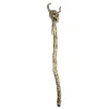 Ghoulish Crosier Totem Staff Accessories