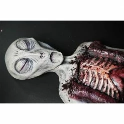 Distortions Alien Autopsy Realistic Prop Sci-Fi Costumes