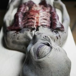 Distortions Alien Autopsy Realistic Prop Sci-Fi Costumes 9 Distortions Alien Autopsy Realistic Prop Sci-Fi Costumes