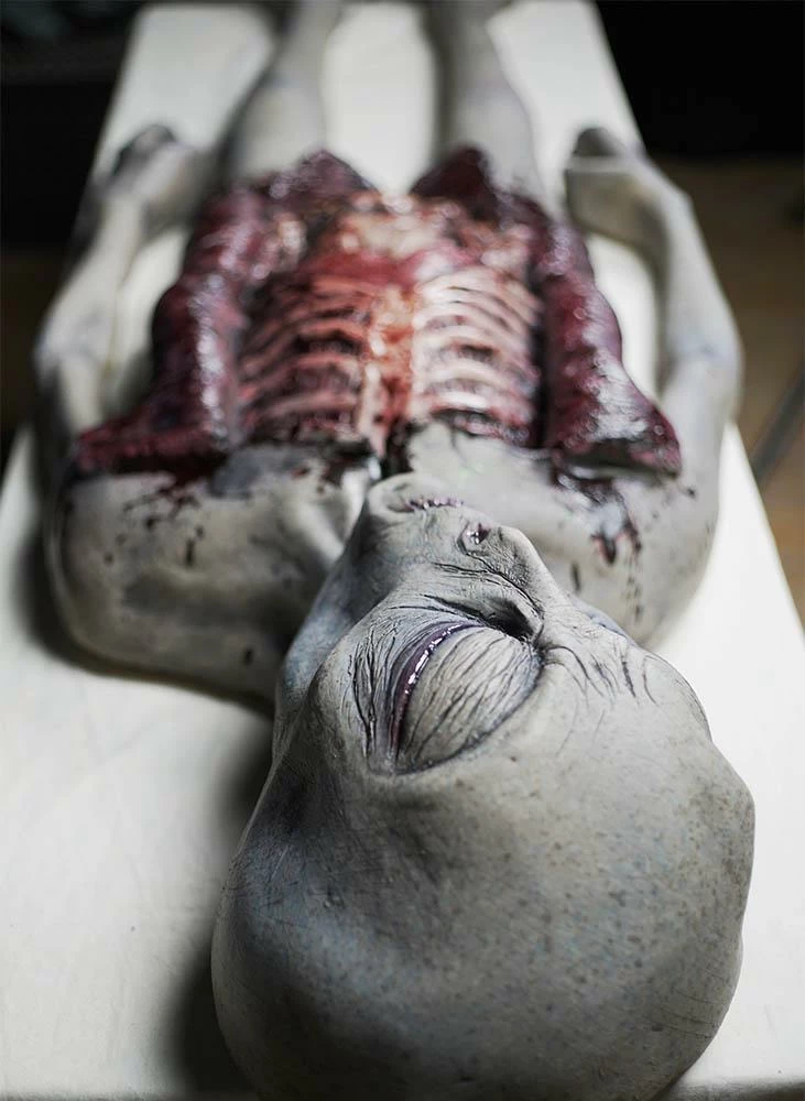 Distortions Alien Autopsy Realistic Prop Sci-Fi Costumes 5 Distortions Alien Autopsy Realistic Prop Sci-Fi Costumes