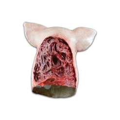 Trick Or Treat Studios Halloween Blood Pig Latex Mask TV & Movie Costumes
