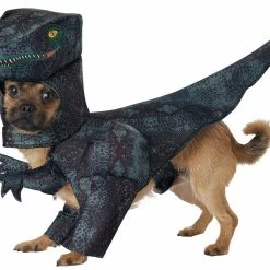 California Costumes Pupasaurus Rex Dog Pet Dinosaur Raptor Costume