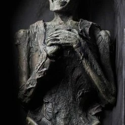 Distortions Death Decomposing Corpse Prop Life Size