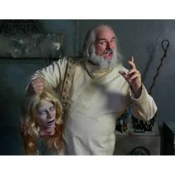 Distortions Illusion Severed Female Head Decorations & Props