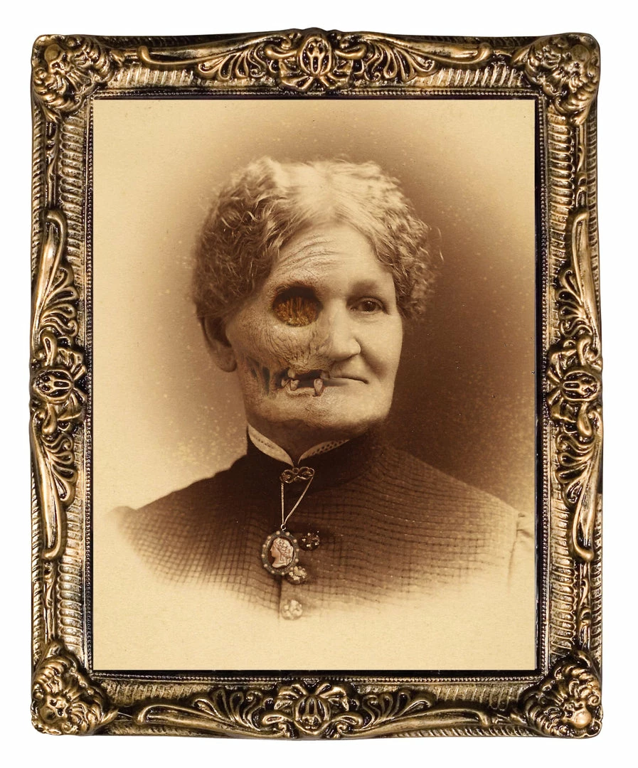 Seasonal Visions Aunt Hazel Changing Holographic Portrait 17 X 21 5 Seasonal Visions Aunt Hazel Changing Holographic Portrait 17 X 21