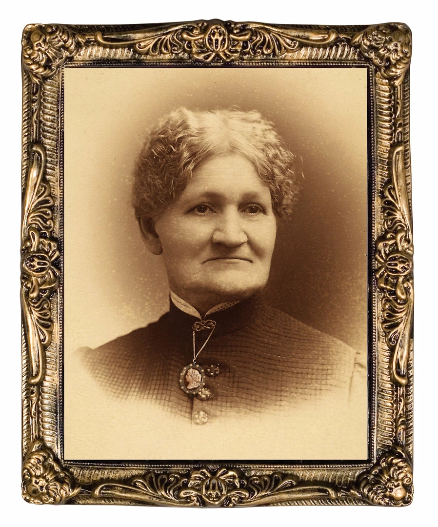 Seasonal Visions Aunt Hazel Changing Holographic Portrait 17 X 21 4 Seasonal Visions Aunt Hazel Changing Holographic Portrait 17 X 21