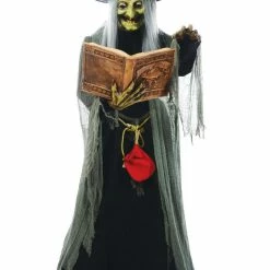 Seasonal Visions Animated Spell-Speaking LED Talking Witch Prop Life Size Wizard & Witches