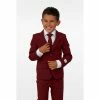OppoSuits Blazing Burgundy Boys Suit