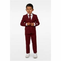 OppoSuits Blazing Burgundy Boys Suit