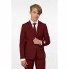 OppoSuits Blazing Burgundy Teen Boys Suit Suits & Blazers