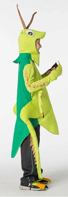 Rasta Imposta Costumes Grasshopper Child Costume 5 Rasta Imposta Costumes Grasshopper Child Costume