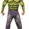 Rubie's Costumes Boy's Deluxe Muscle Chest Hulk Costume 1 Rubie's Costumes Boy's Deluxe Muscle Chest Hulk Costume