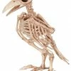 Seasons USA Decorations & Props Skeleton Raven Prop