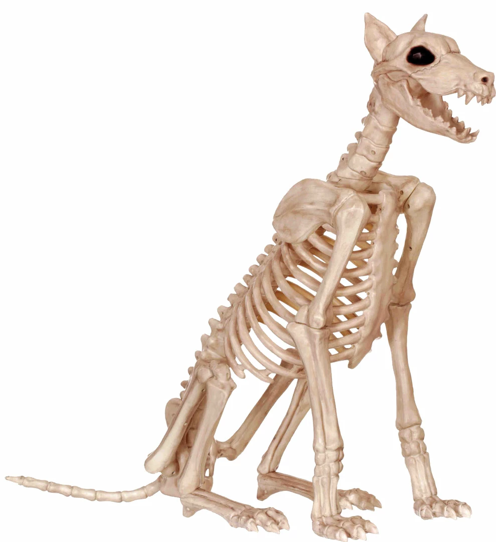 Seasons USA 29 Inches Skeleton Doberman Dog Prop Decorations & Props 3 Seasons USA 29 Inches Skeleton Doberman Dog Prop Decorations & Props