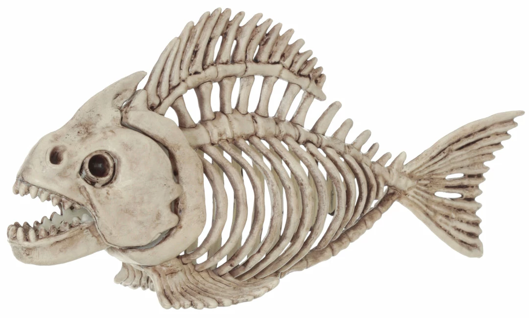 Seasons USA 5" Skeleton Fish Prop Decor Decorations & Props 3 Seasons USA 5" Skeleton Fish Prop Decor Decorations & Props