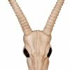 Seasons USA Skeleton Gazelle Head Prop Decorations & Props 2 Seasons USA Skeleton Gazelle Head Prop Decorations & Props