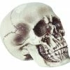 Sunstar 7" Realistic Skull Prop Decorations & Props