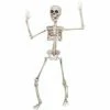 Sunstar Decorations & Props 20" Poseable Skeleton